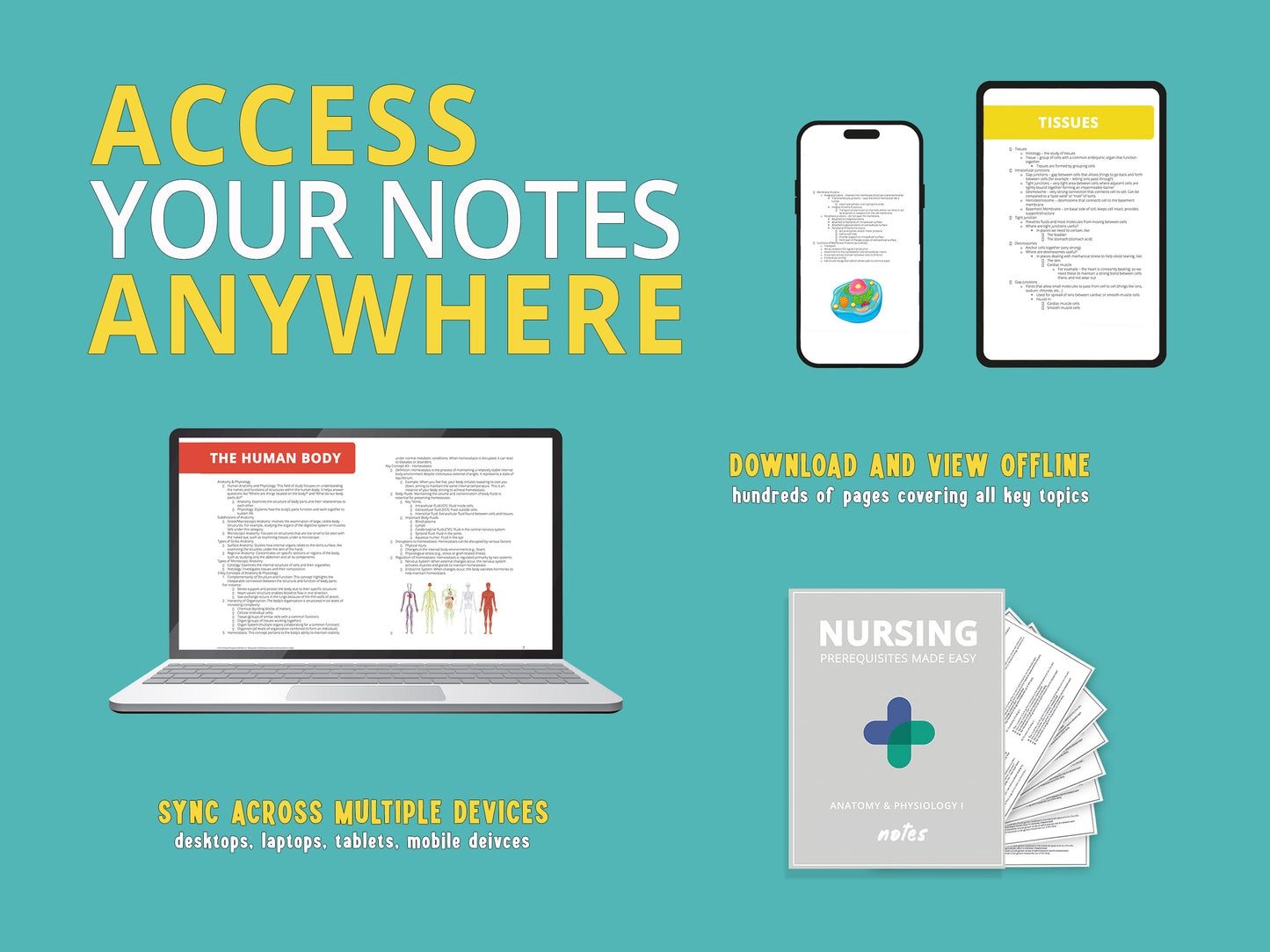 Digital download image promoting Anatomy and Physiology notes bundle with Access Your Notes Anywhere text at the top. Image showcases a laptop, smartphone, and tablet displaying sections of Anatomy and Physiology notes for college nursing students.