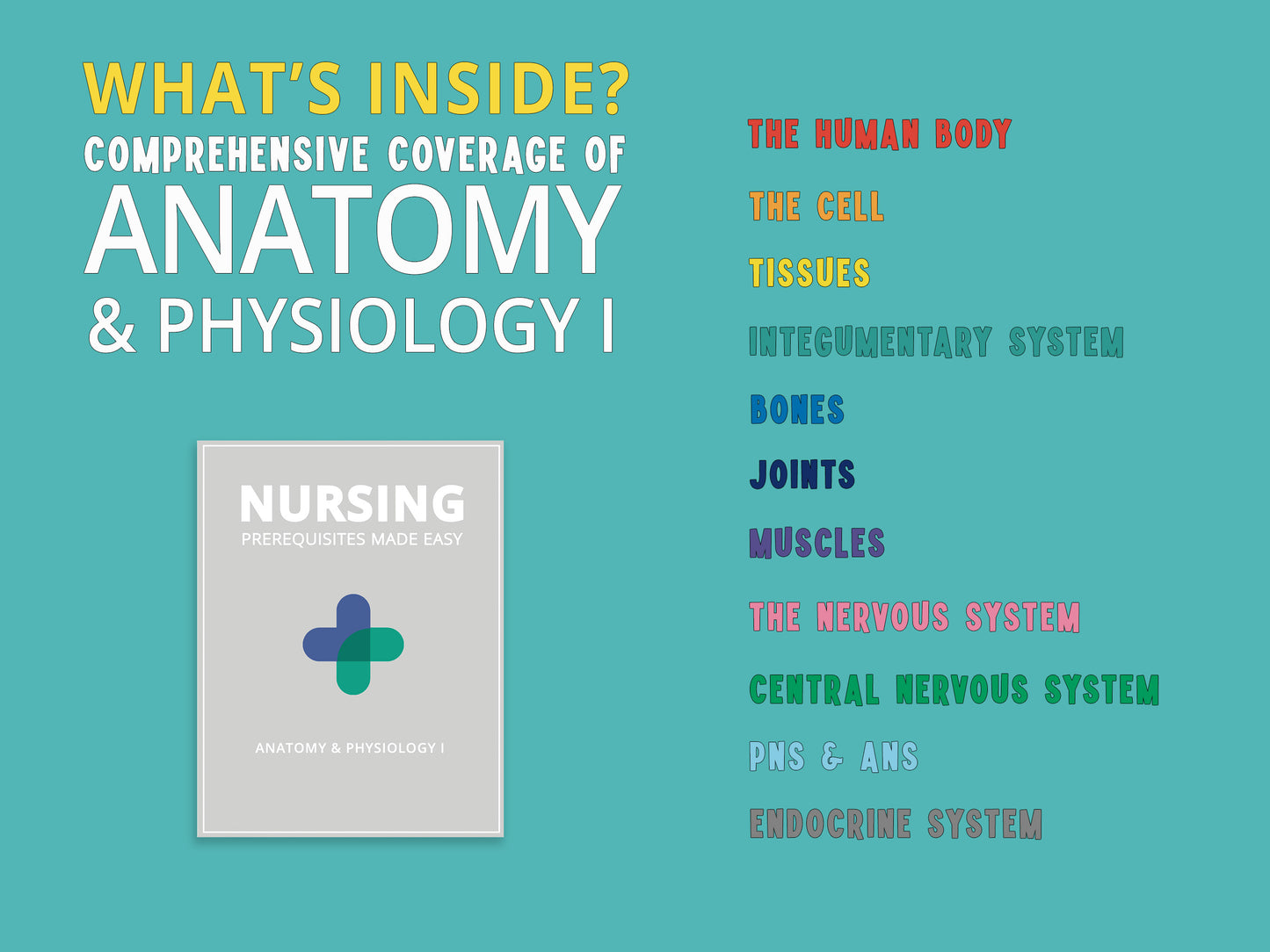 Anatomy and Physiology Study Guide book with a detailed list of chapters included. Comprehensive anatomy and physiology study aids featuring anatomy notes, diagrams, and practice questions for nursing school prerequisites.