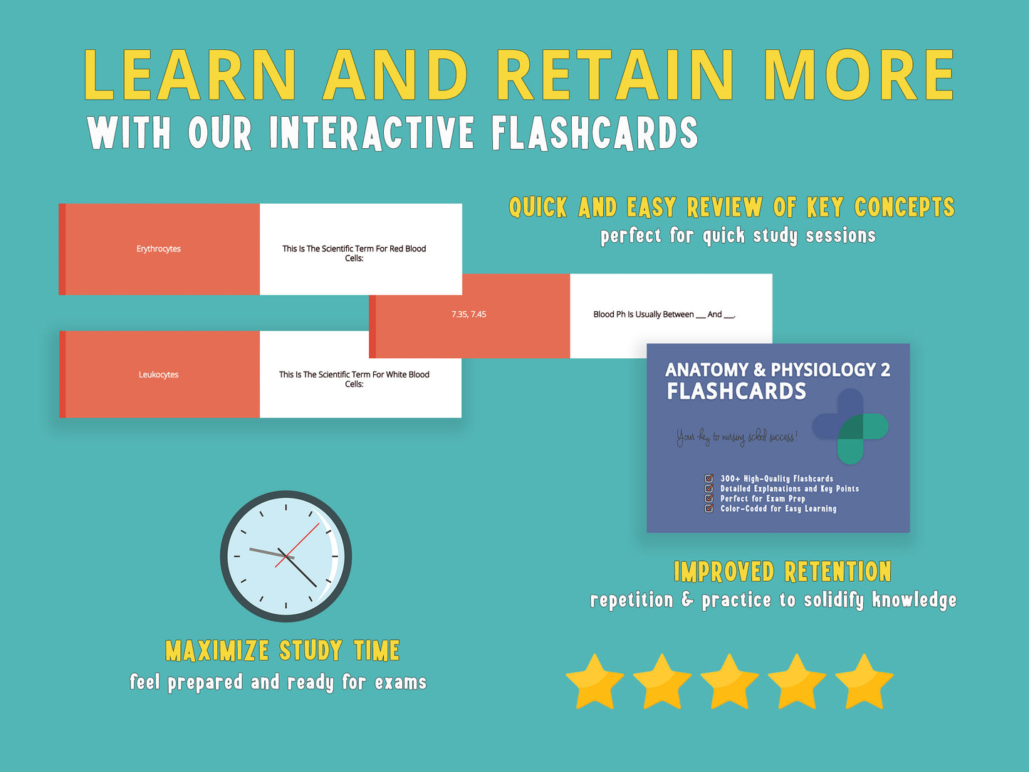 Example of Anatomy and Physiology 2 flashcards with the flashcard box. Study aids designed for nursing school prerequisites, featuring detailed a&p notes and anatomy and physiology practice questions.