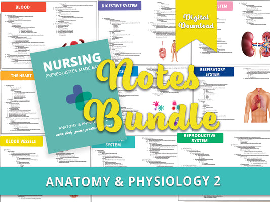 Example of Anatomy and Physiology 2 notes found within the book, with notes bundle text written over it. Comprehensive a&p study aids for nursing school prerequisites, featuring detailed anatomy notes, diagrams, and a&p practice questions.