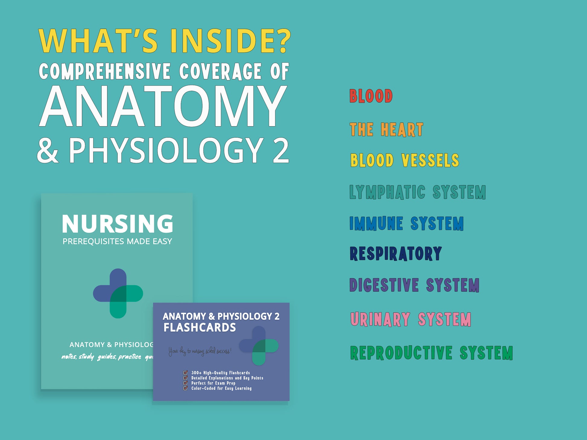 Anatomy and Physiology 2 Study Guide book and anatomy flashcards with a detailed list of chapters included. Comprehensive study aids featuring a&p notes, diagrams, and practice questions for nursing school prerequisites.