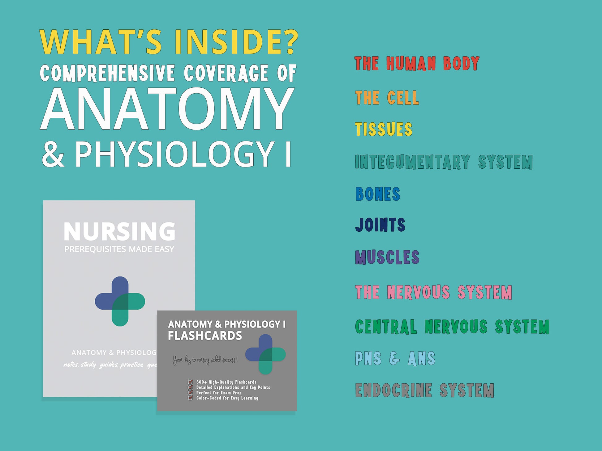 Anatomy and Physiology Study Guide book and flashcards with a detailed list of chapters included. Comprehensive study aids featuring notes, diagrams, and practice questions for nursing school prerequisites.