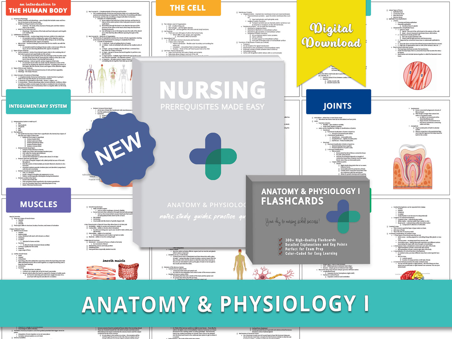 Anatomy and Physiology Study Guide book and flashcards displayed over sample notes from each chapter. Comprehensive study aids including detailed notes, diagrams, and practice questions for nursing school prerequisites.