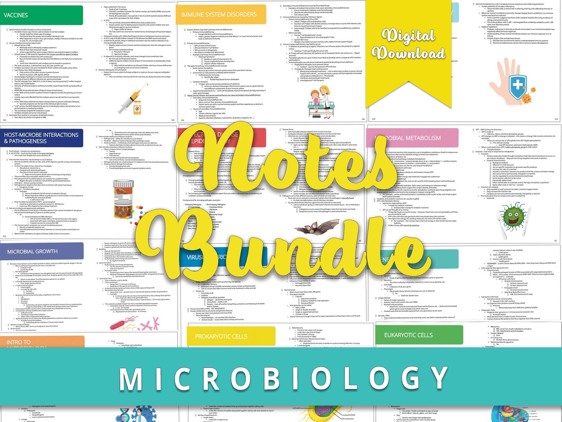 Example of Microbiology notes found within the book, with notes bundle written over it. Comprehensive study aids for nursing school prerequisites, featuring detailed microbiology notes for nursing and pre-nursing students.