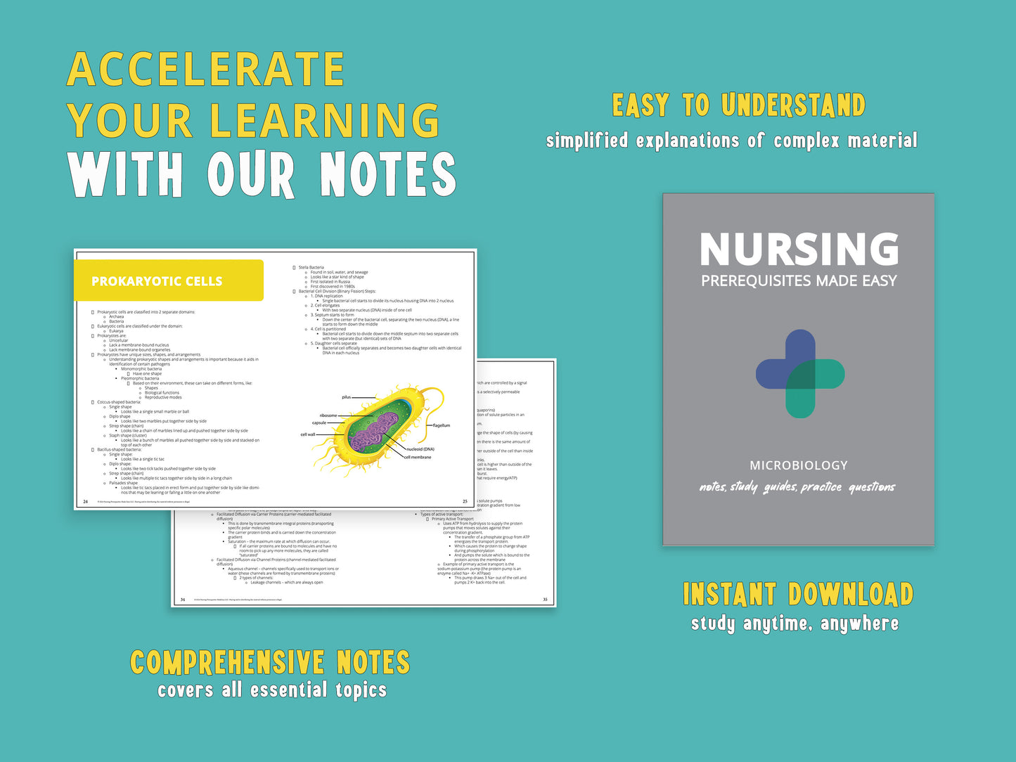 Example microbiology notes from a chapter in the microbiology study guide book displayed next to the actual book.  Study aids featuring detailed microbiology notes and microbiology practice questions for nursing school prerequisites.